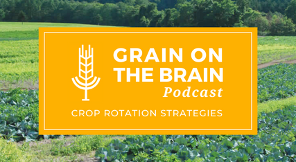 Crop Rotation Strategies