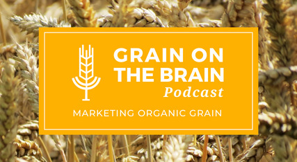 Marketing Organic Grain