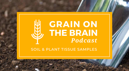 Soil and Plant Tissue Sampes