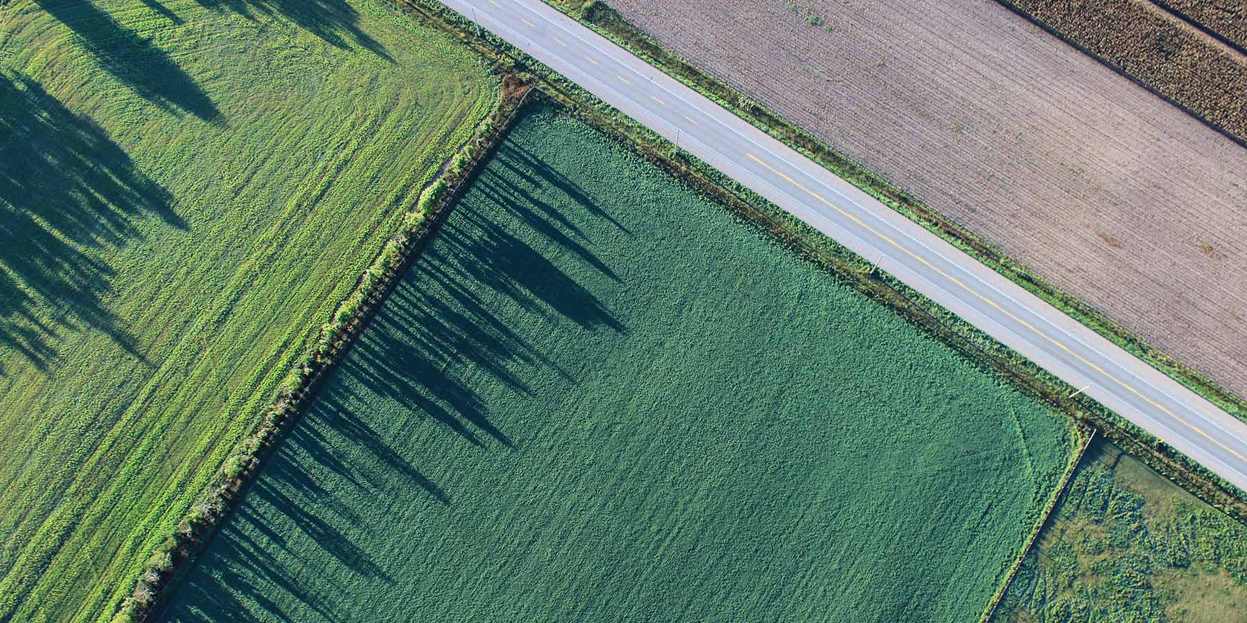 aerial photo agricultural farmland with road