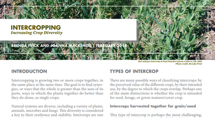 Intercropping Fact Sheet