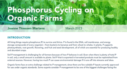 Phosphorus Cycling on Organic Farms Fact Sheet