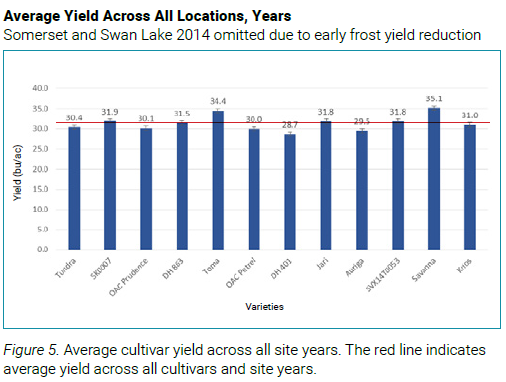 average yield 1