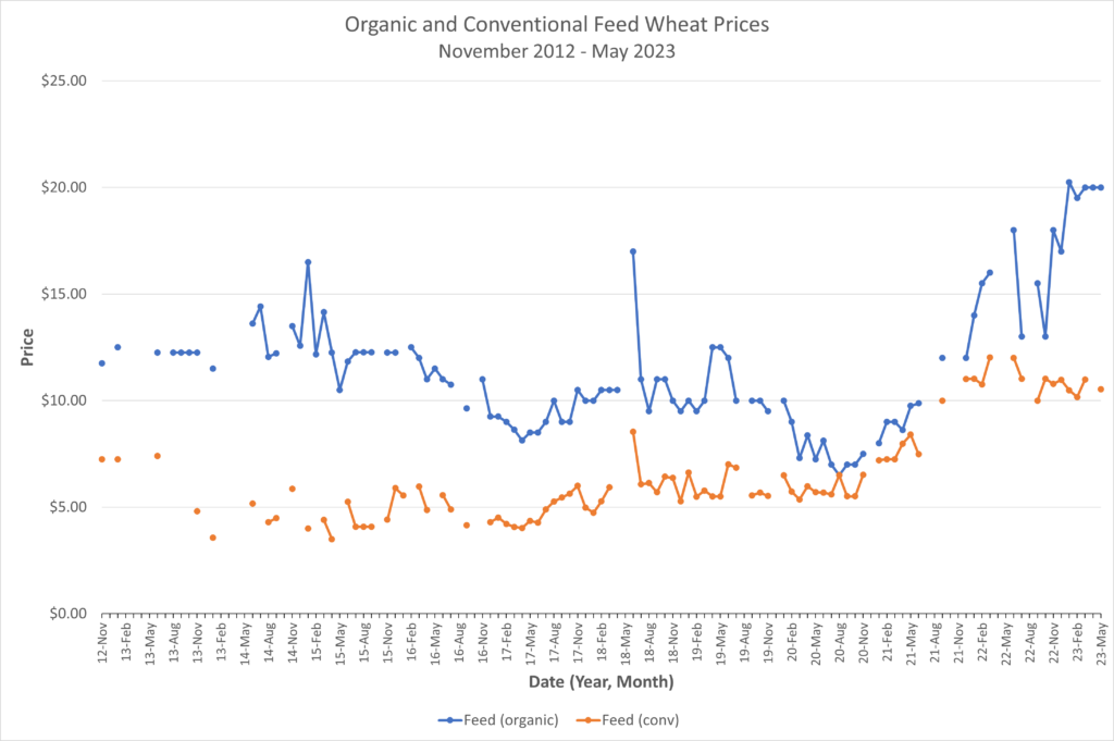 Wheat Feed May 2023